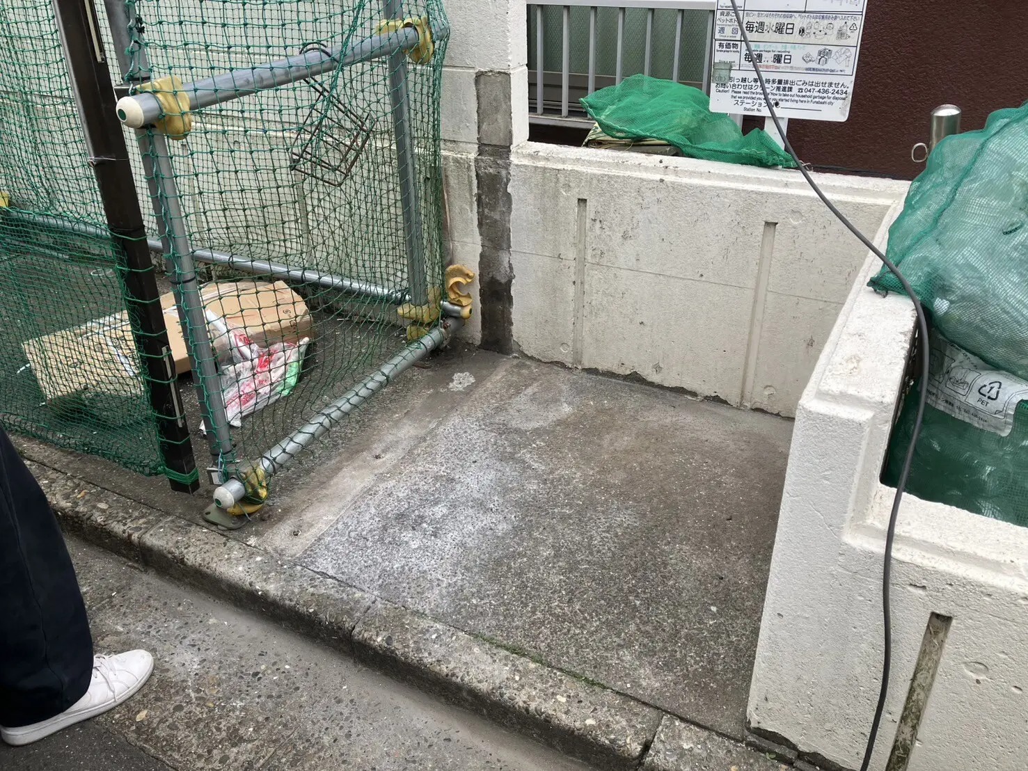 ギャラリー画像 1